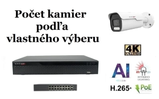 MS AI hybrid Light Park IP kamerový set so switchom 8 Mpix (6070K8+B)